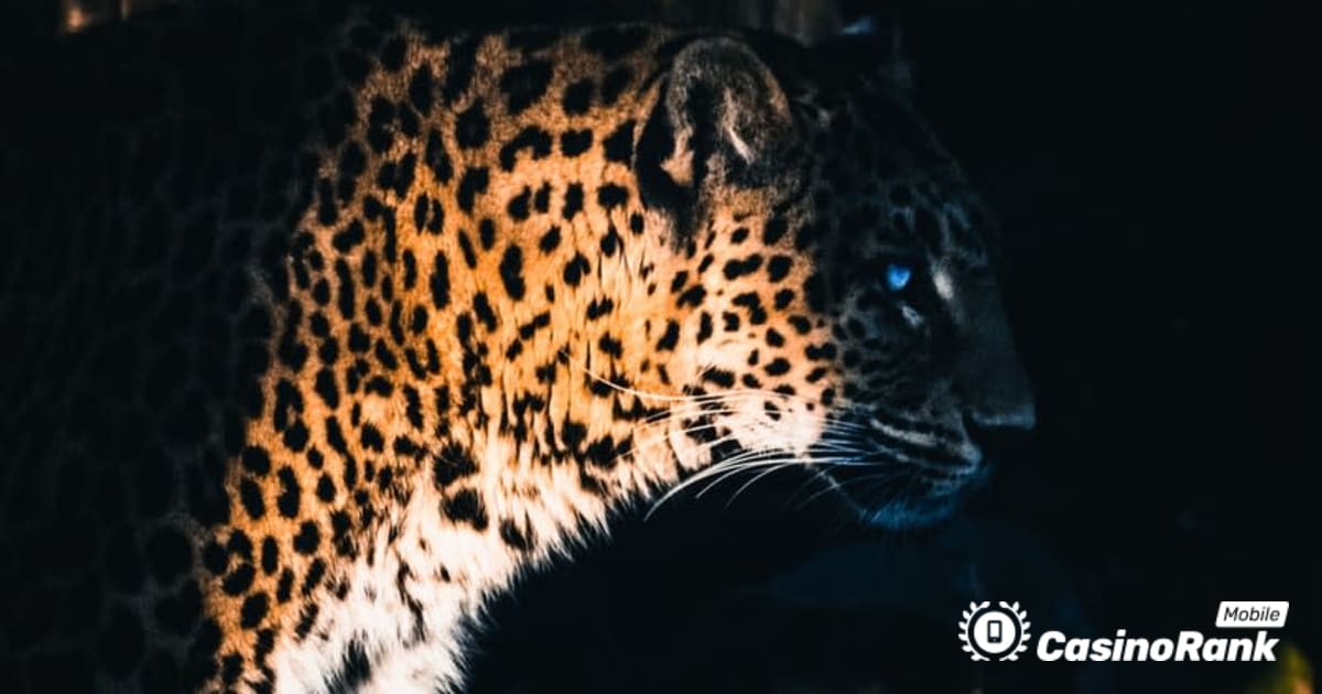 Yggdrasil samarbejder med ReelPlay for at frigive Jaguar SuperWays fra Bad Dingo